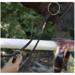 CWD Colliers De Chasse>Collier de chasse noir