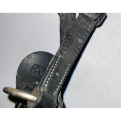 CWD Colliers De Chasse><noscript><img width=