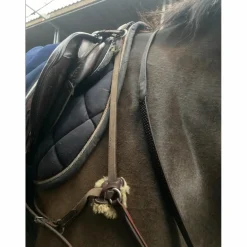 Collier de Chasse*Devoucoux Outlet