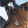 Collier de chasse kolibri jumping*Devoucoux Sale