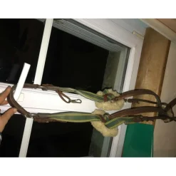 Devoucoux Colliers De Chasse><noscript><img width=