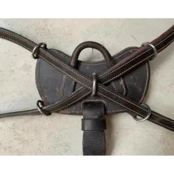 Colliers De Chasse>Collier de chasse Dyon 5 points Taille poney marron, bon état