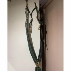 T de T Colliers De Chasse>collier de chasse endurance vert