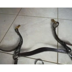 CSO Colliers De Chasse><noscript><img width=