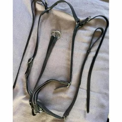collier de chasse et martinguale cheval*Fouganza Sale