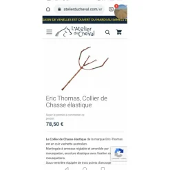 Collier de chasse et martingale Eric Thomas* New
