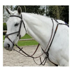 Collier de chasse Fancy Richtan Treadstone*Tread stone Hot