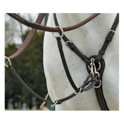 Collier de chasse Fancy Richtan Treadstone*Tread stone Hot