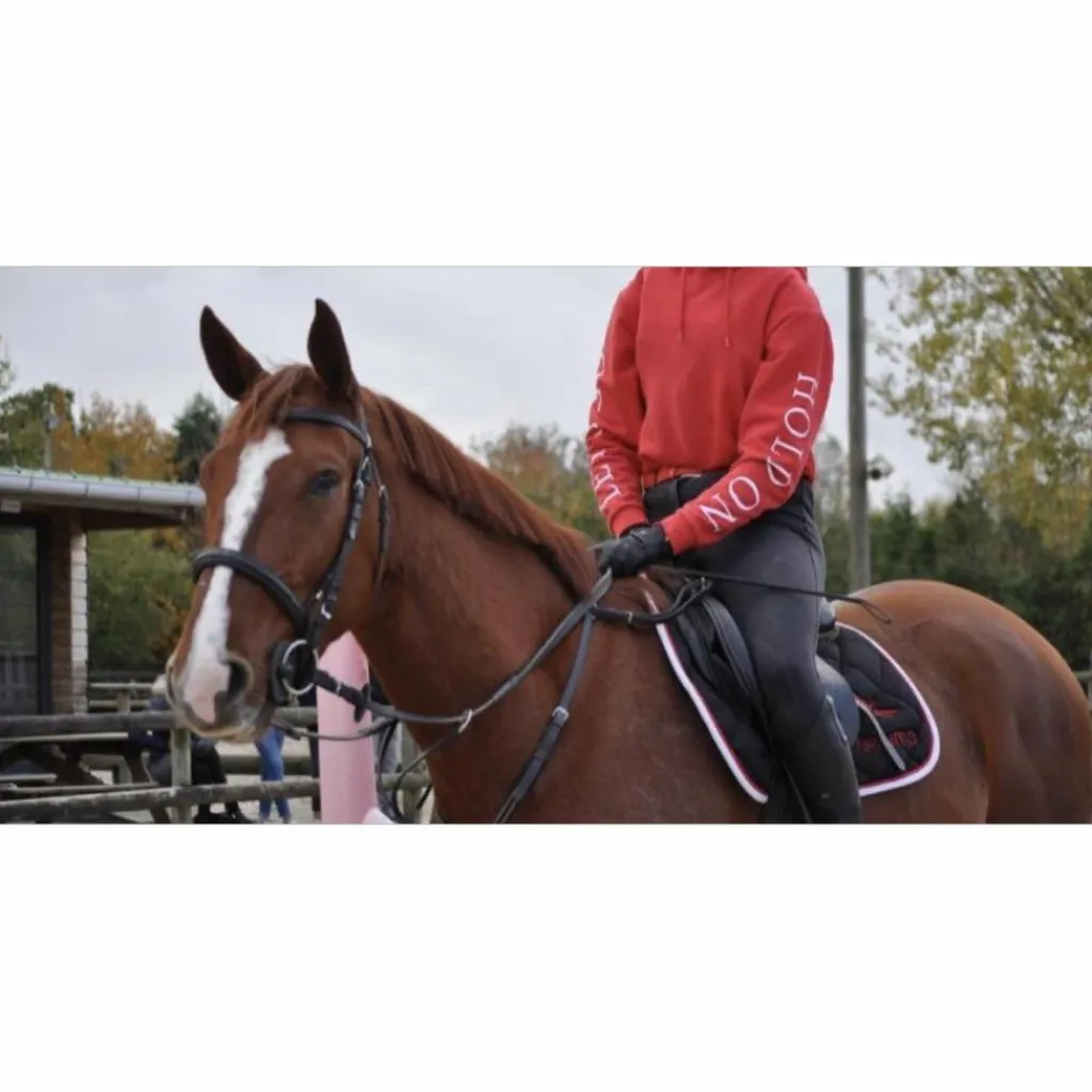 Collier de Chasse*Fouganza Outlet