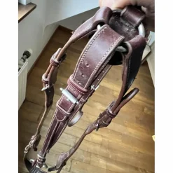 Collier de chasse*GBS Hot