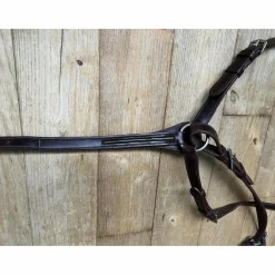 Collier de chasse*GBS Hot
