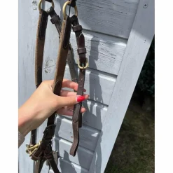 LJ Leathers Colliers De Chasse><noscript><img width=