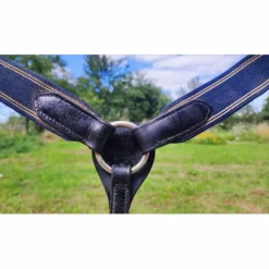 HFI Colliers De Chasse><noscript><img width=
