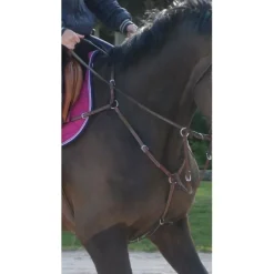 Horse'in Colliers De Chasse>Collier de chasse