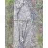 Eric Thomas Colliers De Chasse>Collier de chasse élastique + martingale taille cob/pur sang