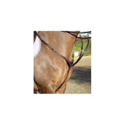 Protanner Colliers De Chasse>Collier de chasse élastique
