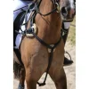 COLLIER DE CHASSE ÉLASTIQUE C.S.O. "CONFORT" CHEVAL*CSO Best