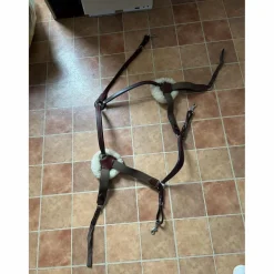 Lexhis Colliers De Chasse>Collier de chasse Lexington