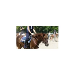 Time Rider Colliers De Chasse><noscript><img width=
