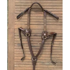 Colliers De Chasse>Collier de chasse martingale Time rider