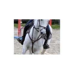 Colliers De Chasse><noscript><img width=