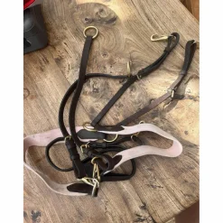 collier de chasse martingale*- Marque inconnue - Hot