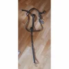 Kramer Colliers De Chasse>Collier de chasse noir