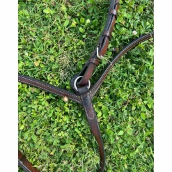 - Marque inconnue - Colliers De Chasse><noscript><img width=