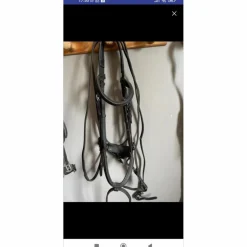 Collier de chasse poney*Chetak Sale