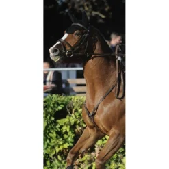 Collier de chasse privilège équitation* New