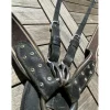 collier de chasse pro tanner*Protanner New