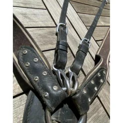 collier de chasse pro tanner*Protanner New