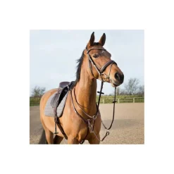 Collier de chasse réglable*Equiline Outlet