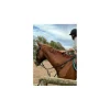 Collier de chasse*Riding World Outlet