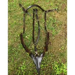 Collier de chasse SCHOCKEMÖHLE*Schockemohle New