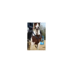 Time Rider Colliers De Chasse>Collier de chasse
