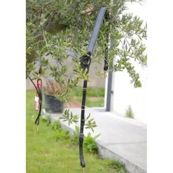Colliers De Chasse>Collier de chasse Time Rider