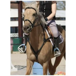 Time Rider Colliers De Chasse>collier de chasse taille poneyD