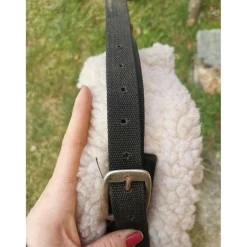 - Marque inconnue - Colliers De Chasse>Collier de chasse weaver leather