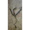 HFI Colliers De Chasse>Collier de chasse/martingale