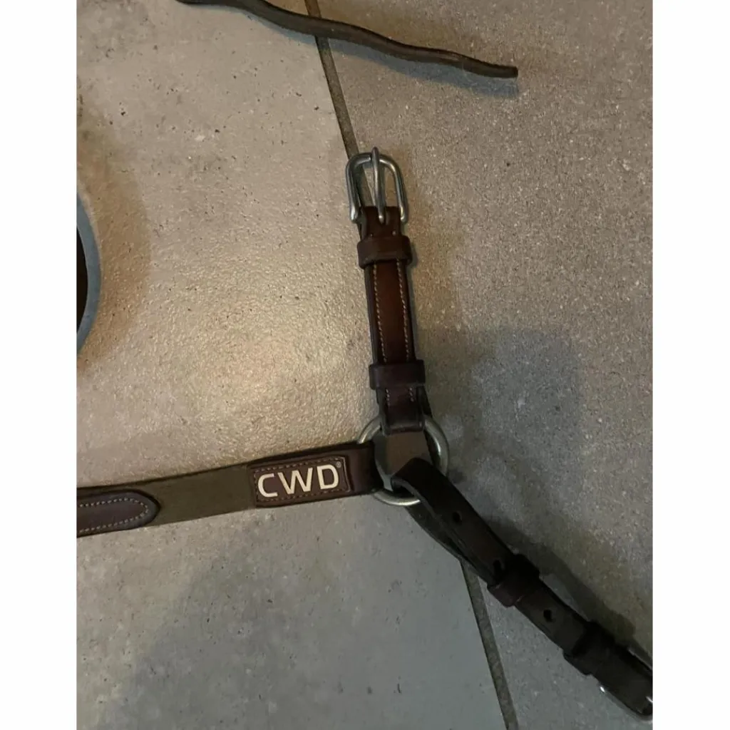 colliers de chasse*CWD Outlet