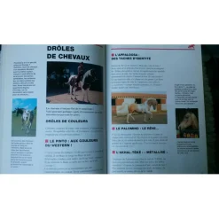 - Marque inconnue - Livres>Copain des Chevaux / Ballereau et Delaborde