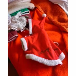 costume de Noël pour un petit chien*- Marque inconnue - New