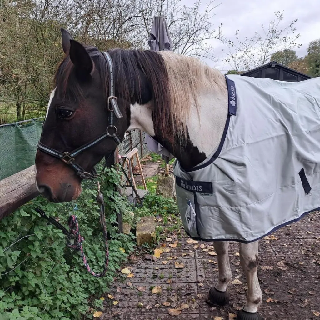 Couverture Power Turnout Light Bigneck*Bucas Best