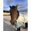 Couverture Power Turnout Big Neck*Bucas Clearance