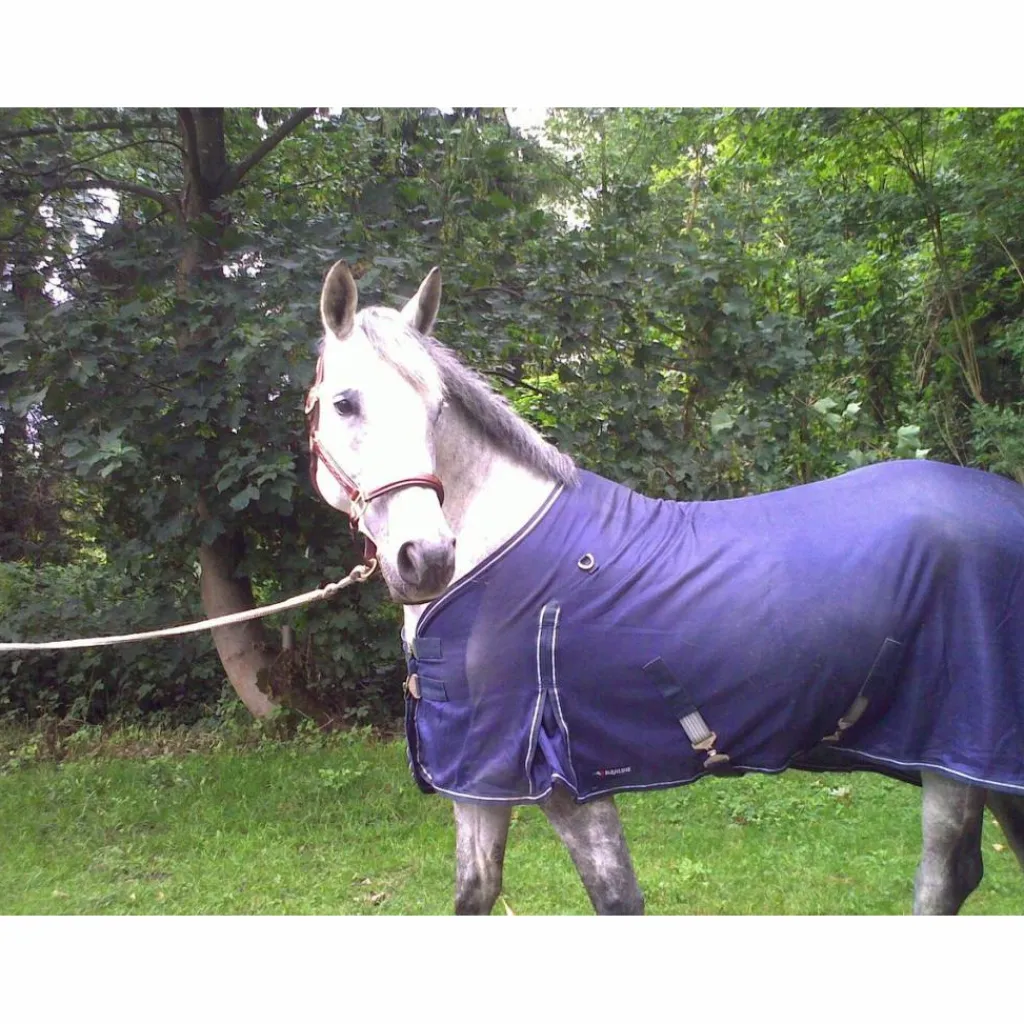 Couverture cheval anti-mouches – Taille L (6'6)*Equiline