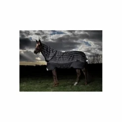Couverture d'Extérieur Amigo 250g 145cm*Horseware Discount