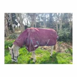 Weatherbeeta Couvertures>Couverture d'extérieur 140cm