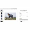 Couverture Classic 50g*Equitheme Best