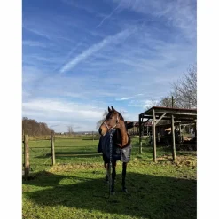 Equitheme Couvertures>Couverture EQUITHÈME Teddy doublée mouton